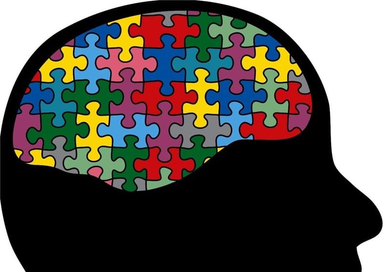 Damaged Brain Repairs Itself