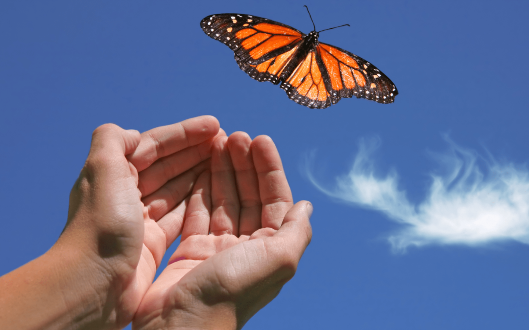 Manageable Compassion