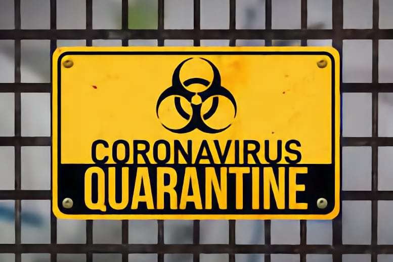 A Quarantine Survivors Guide